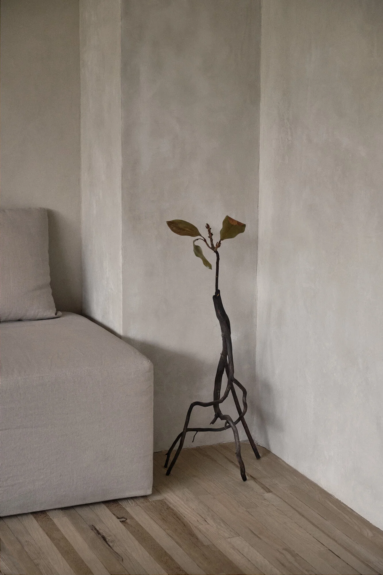 Studio IMA x Anniversary Magazine, Mexico City — ALEX LESAGE